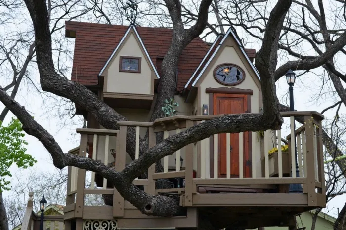 maison dans un arbre