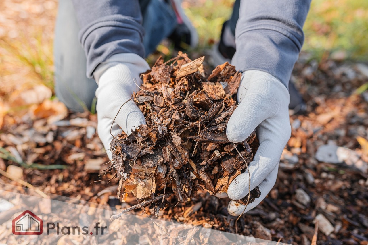 Le paillage du jardin : récupérez vos déchets verts et nourrissez