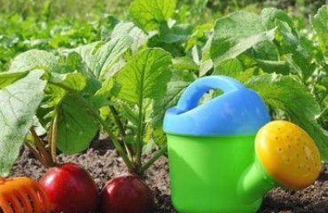 Jardin aire de jeux endants