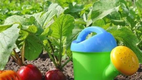Jardin aire de jeux endants