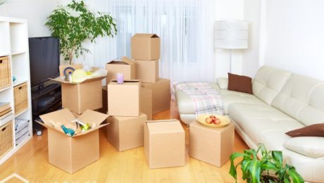 appartement maison