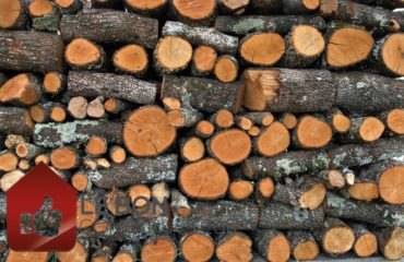 quel abri pour bois de chauffage choisir