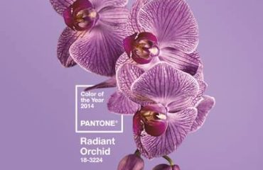 couleur 2014 rose orchidee