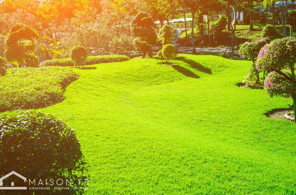 Comment préparer votre terrain pour semer votre gazon ? - Jardinet