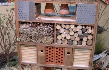favoriser la biodiversite dans son jardin
