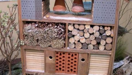 favoriser la biodiversite dans son jardin