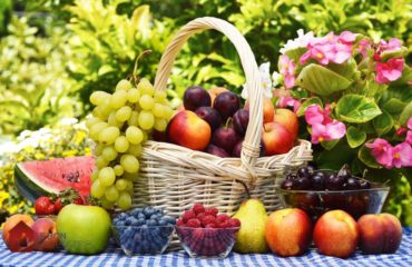 faire pousser des fruits dans son jardin