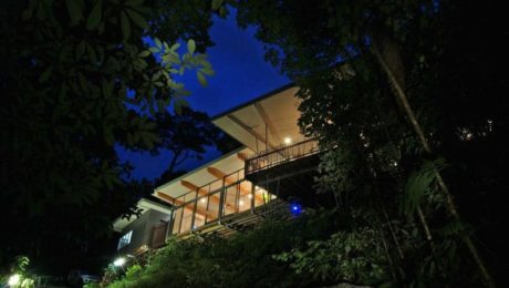 La maison dans les arbres dans la nuit