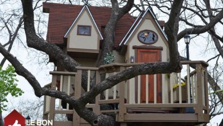 maison dans un arbre