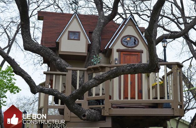 maison dans un arbre