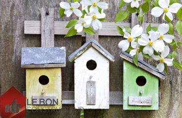 fabriquer mangeoire pour oiseaux