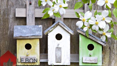 fabriquer mangeoire pour oiseaux