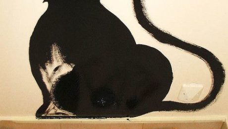 Peindre un intérieur avec une peinture naturelle