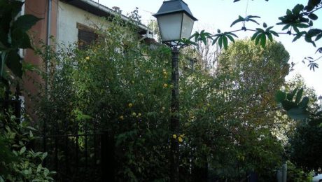 plantation jardin obligations légales