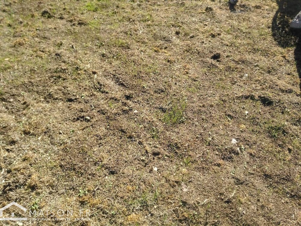 8. Semer du gazon – comment implanter correctement une pelouse