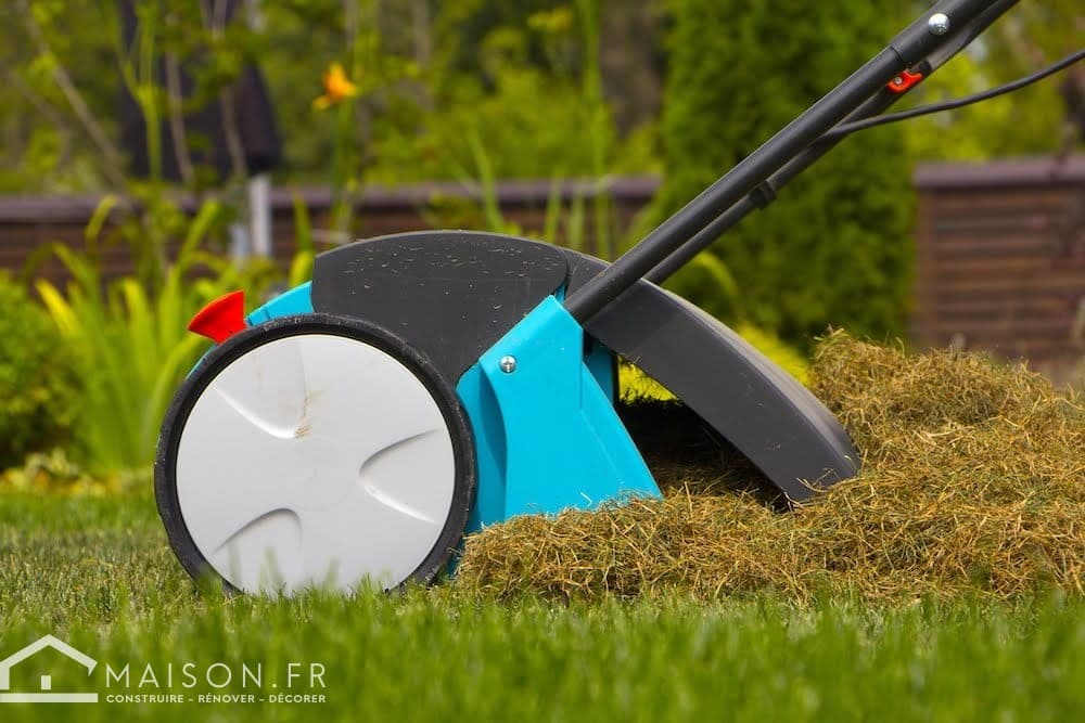 4 secrets pour bien vivre votre pelouse - Réussir le gazon