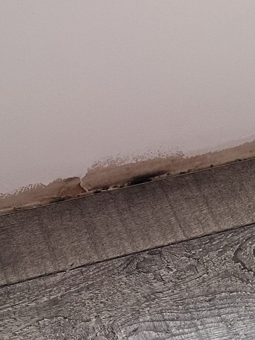 Apparition de moisissure sur le placo de notre chambre situé juste sous la fenêtre. Nous pensons que la pluie s infiltre dans l aération de la fenêtre, que feriez vous dans un premier temps ?en sachan