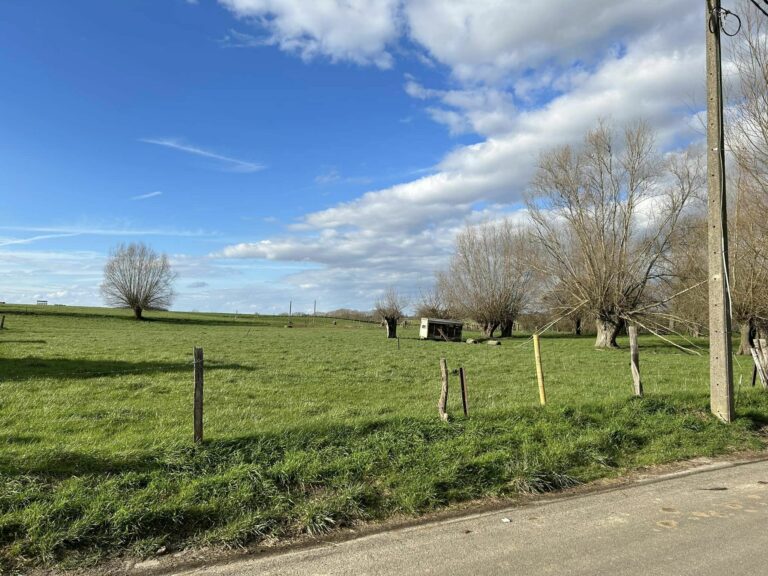 Bonjour, je suis intéressé par un terrain à bâtir mais j’ai remarqué que sur le terrain voisin (aussi  à bâtir) il y avais pas mal d’eau stagnante. Apparemment ce serait due à une nappe aquifère peu p